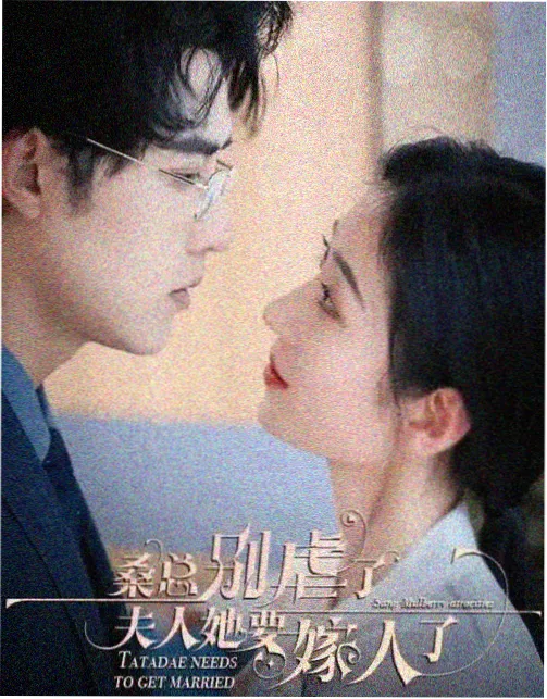 巾帼宰相,电视剧
